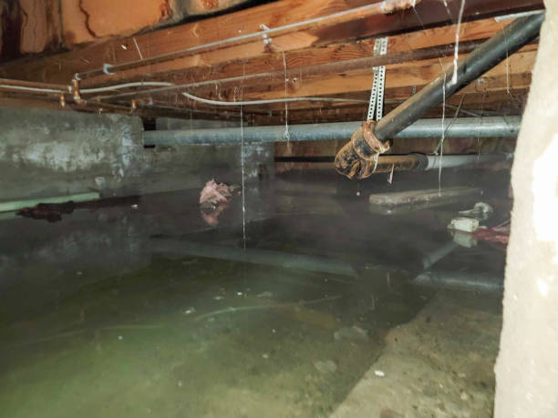 Professional Water damage restoration in North Druid Hills, GA