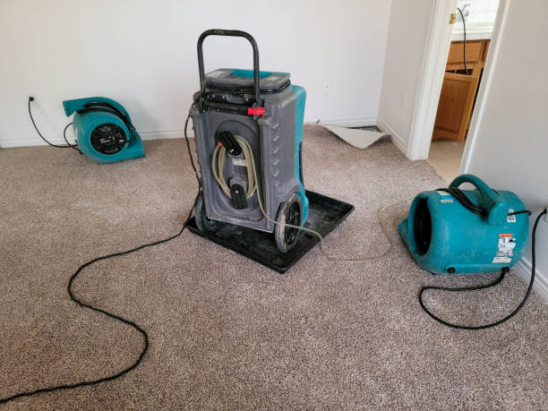 Best Local water damage restoration  in North Druid Hills, GA