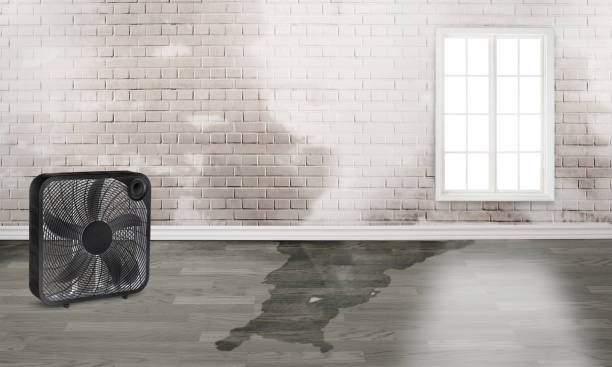 Local water damage restoration in North Druid Hills, GA
