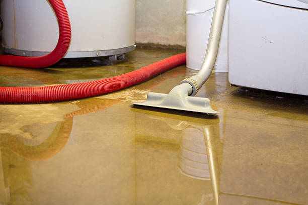 Best Sewage cleanup and water damage restoration  in North Druid Hills, GA