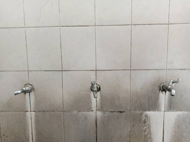 Best Flooded house restoration  in North Druid Hills, GA