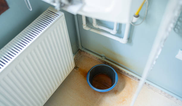 Best Basement water damage restoration  in North Druid Hills, GA