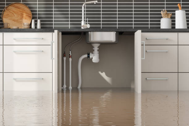 Best 24/7 water damage repair  in North Druid Hills, GA
