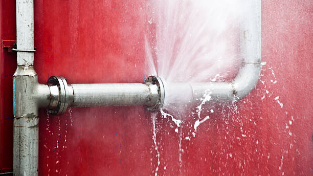 Best Mold removal after water damage  in North Druid Hills, GA